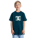 Kids' DC Star Filled Short Sleeve Tee - Ponderosa Pine